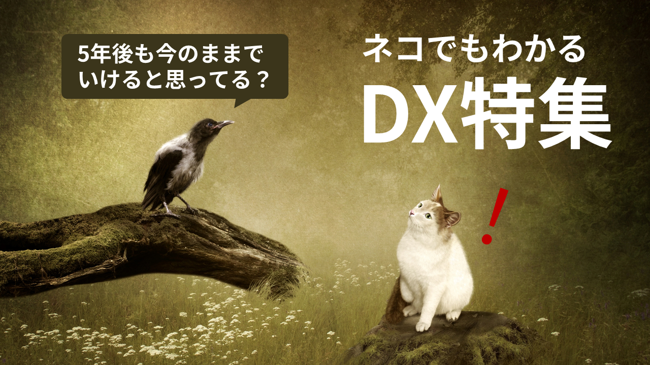 ネコでもわかるDX特集のサムネイル画像