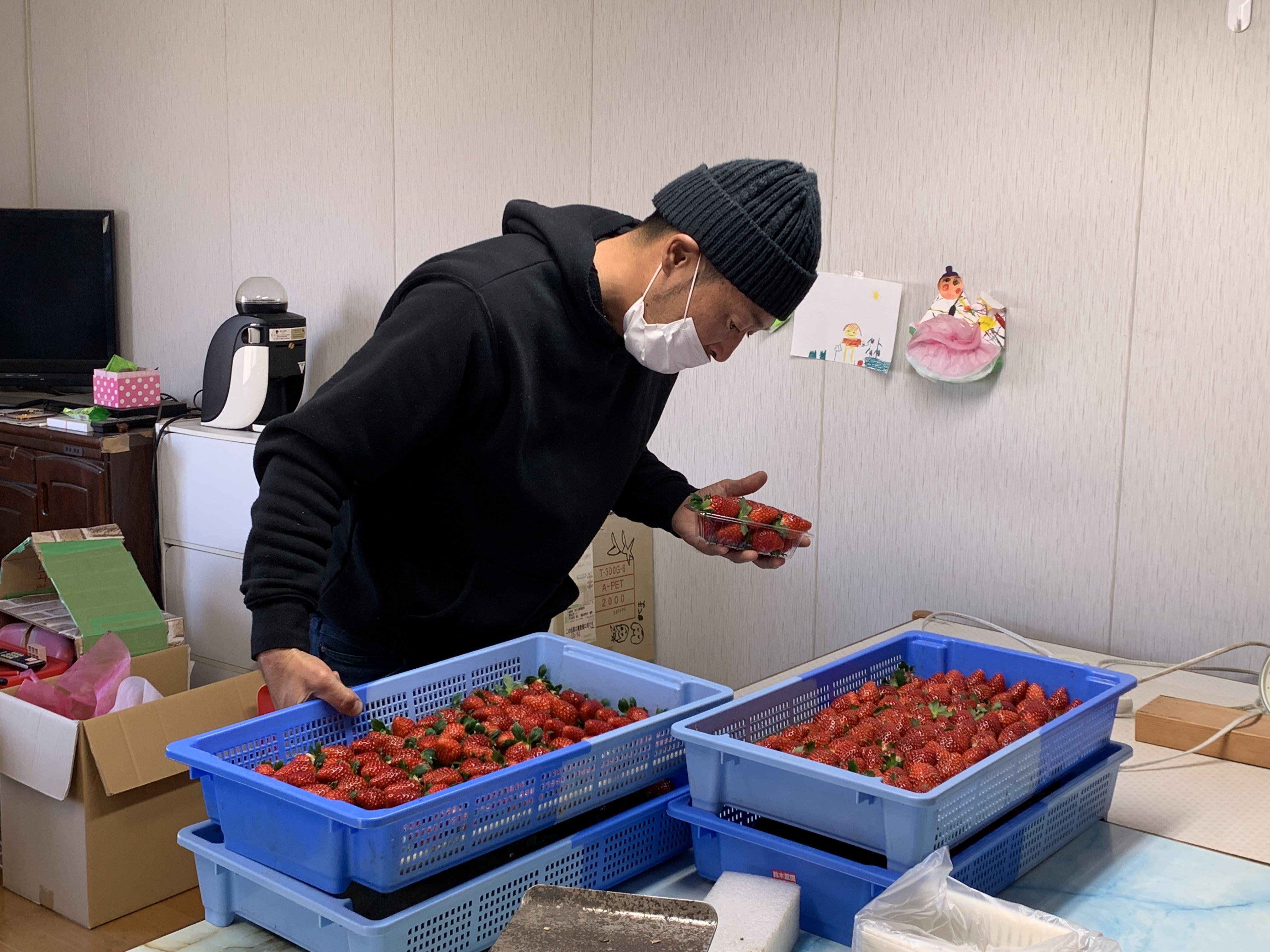 鈴木さんがいちごを梱包している様子の画像